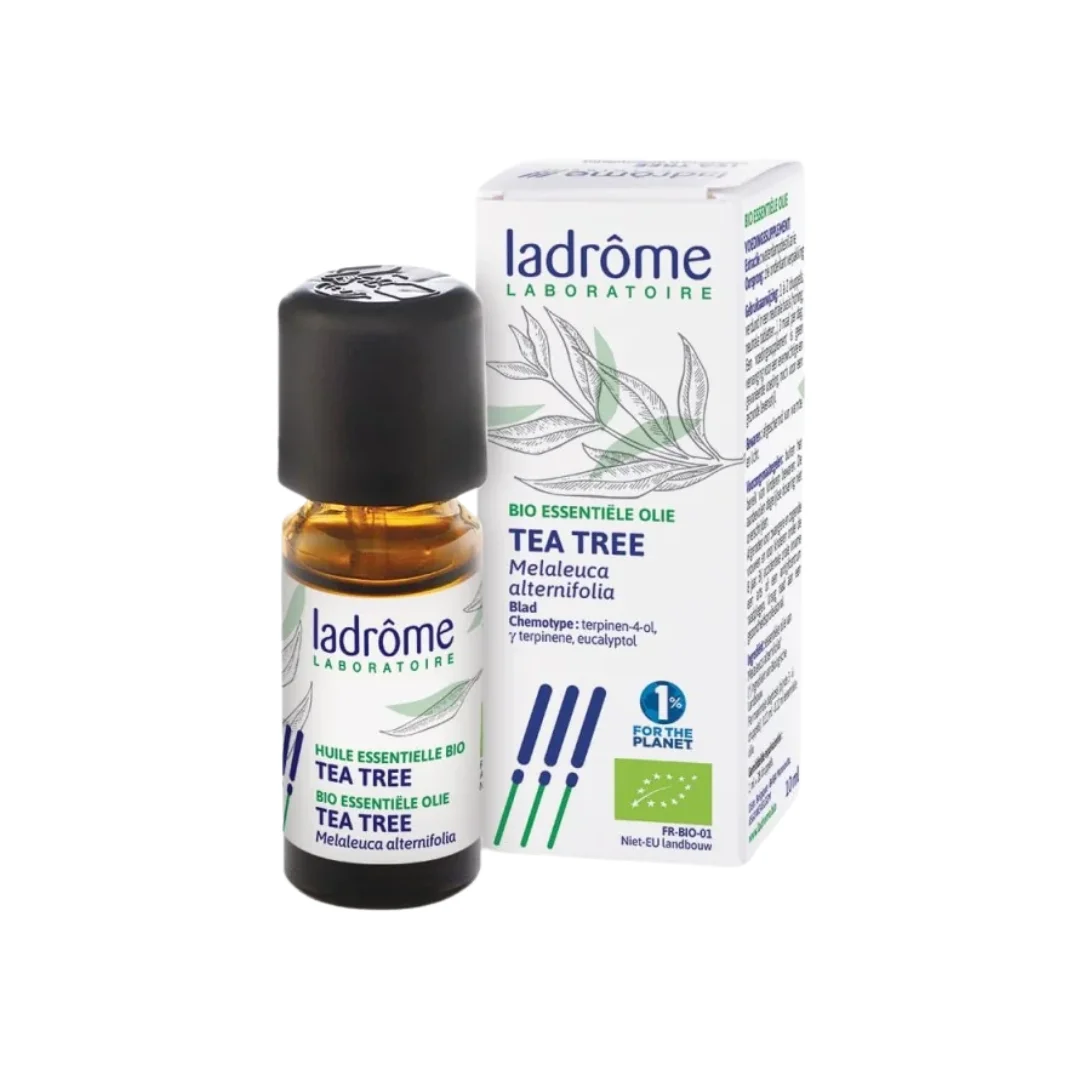 LADROME HUILE ESSENTIELLE TEA TREE 10ML – Image 2