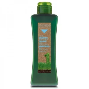 BIOKERA NATURE SHAMPOOING SCALP CARE MIEL 300ML