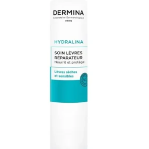DERMINA SOIN LEVRES REPARATEUR – 4g